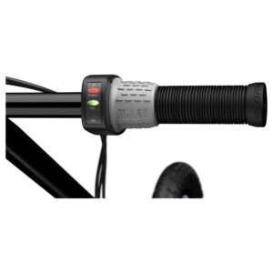 EcoSmart SUP in black throttle